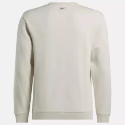 Hoodies & Sweatshirts|Reebok Hoodies & Sweatshirts Harry Potter Crew Sweatshirt