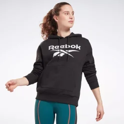 Hoodies & Sweatshirts|Reebok Hoodies & Sweatshirts Identity Logo Fleece Pullover Hoodie
